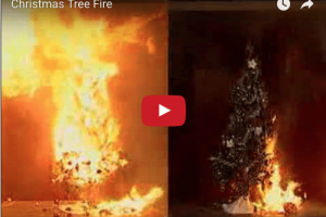 Image of Christmas Tree Fire Safety