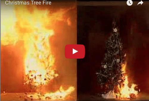 Image of Christmas Tree Fire Safety