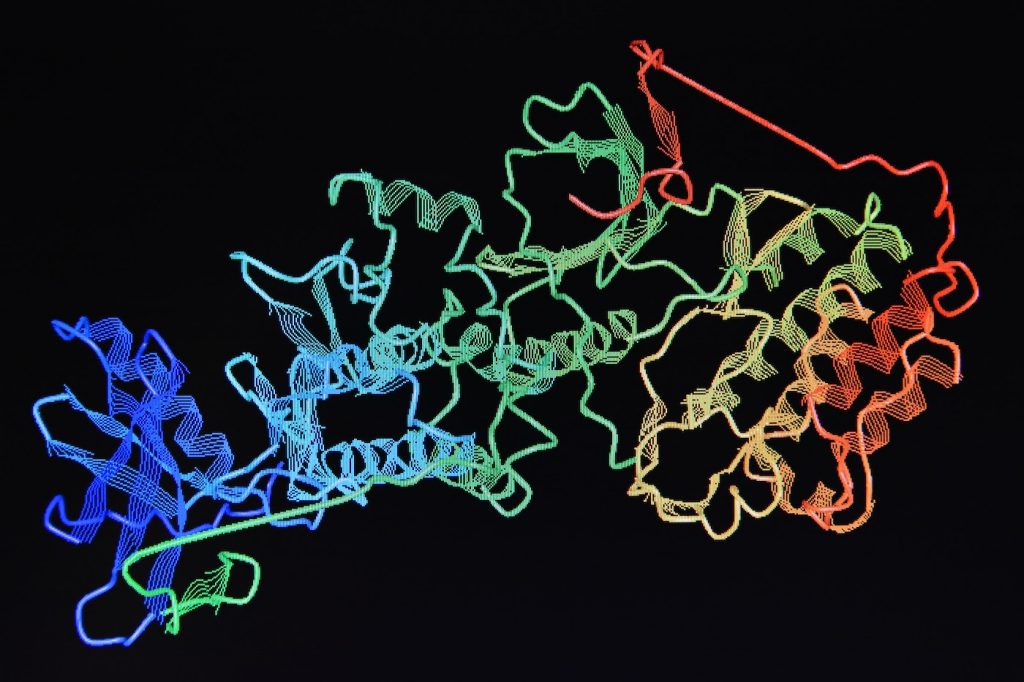 Image of Jordi Labs structure of the protein molecule.