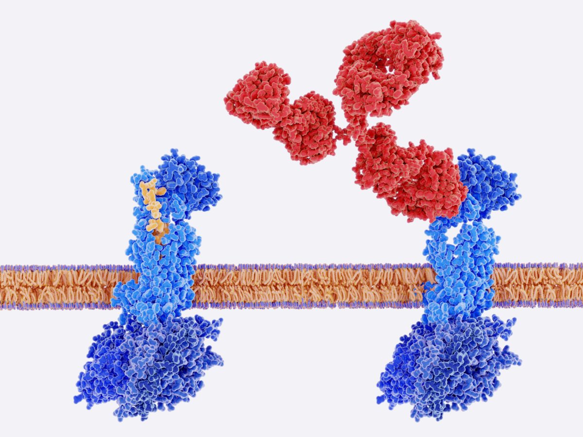 UVVIS Absorbance Protein Characteristics
