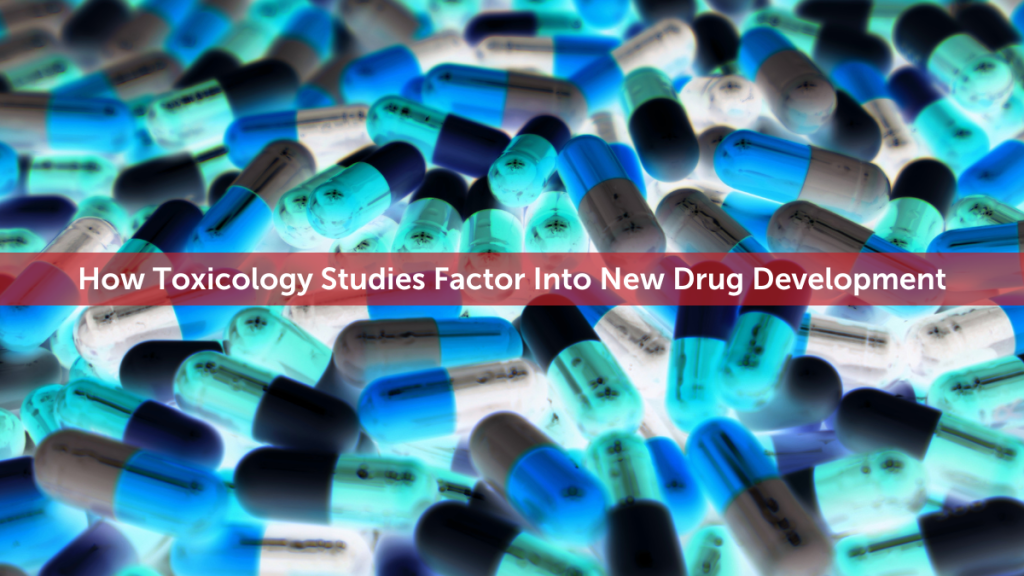 How Toxicology Studies Factor Into New Drug Development