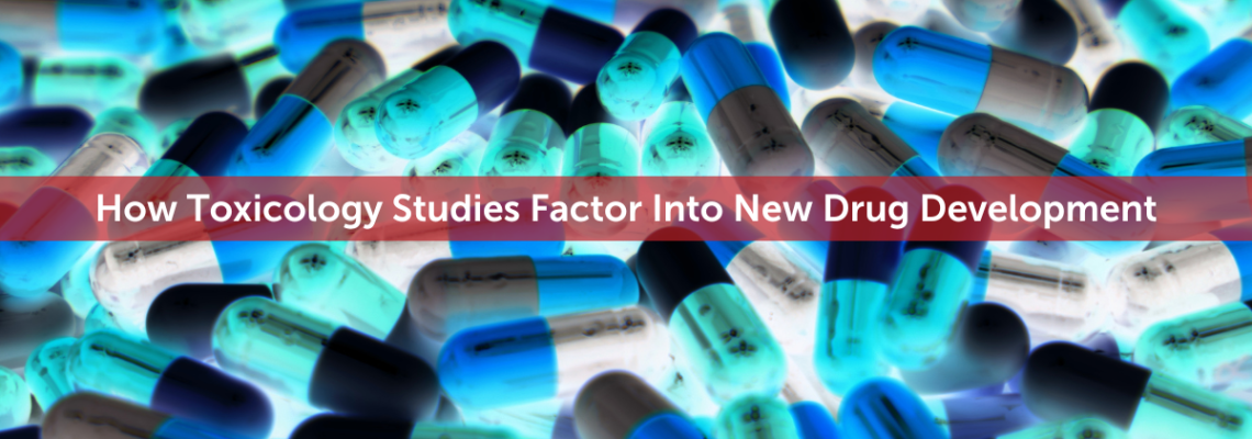 How Toxicology Studies Factor Into New Drug Development