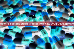 How Toxicology Studies Factor Into New Drug Development