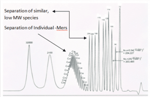 Chromatograph of Ultra Hi-Res GPC