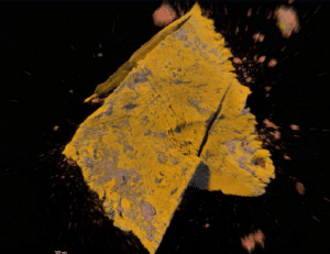 Image of a particle. Jordi Labs uses FTIR-microscopy and SEM-EDX to identify particles, as well as providing information about shape, size and surface topography.